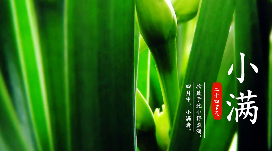 中国·3044永利集团(股份)有限公司-官方网站