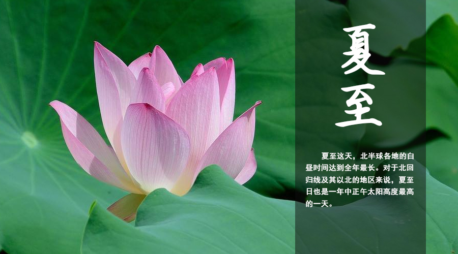中国·3044永利集团(股份)有限公司-官方网站