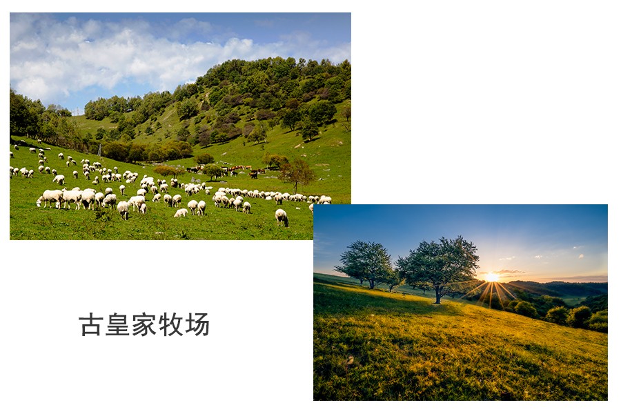 中国·3044永利集团(股份)有限公司-官方网站