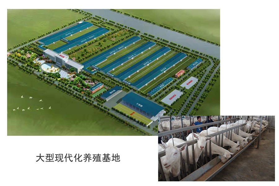 中国·3044永利集团(股份)有限公司-官方网站