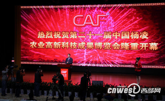 中国·3044永利集团(股份)有限公司-官方网站