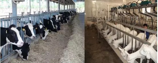 中国·3044永利集团(股份)有限公司-官方网站